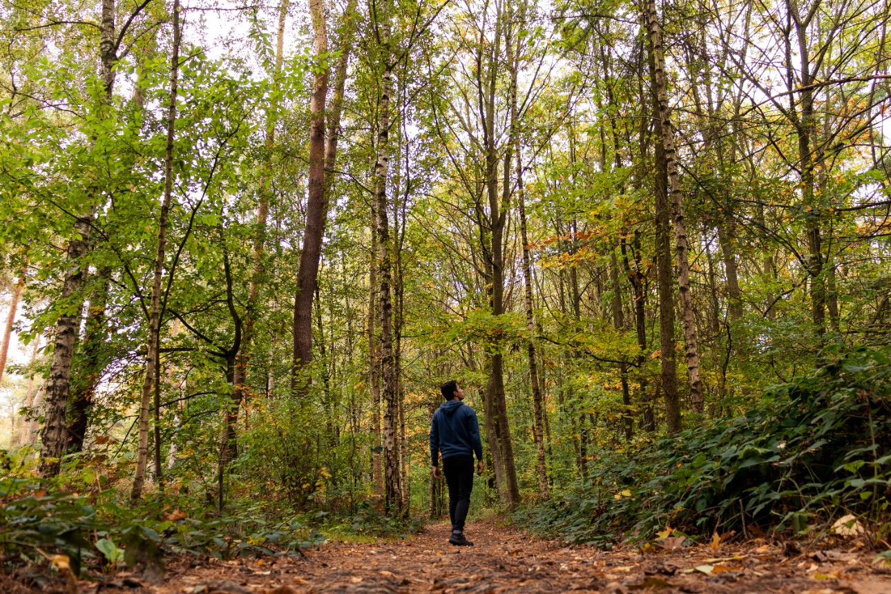 Man walking through nature